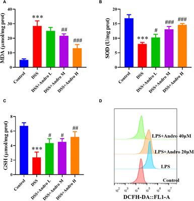 Protective effect of andrographolide against ulcerative colitis by activating Nrf2/HO-1 mediated antioxidant response